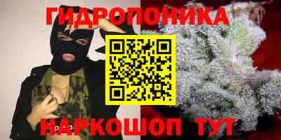 герыч Дубна