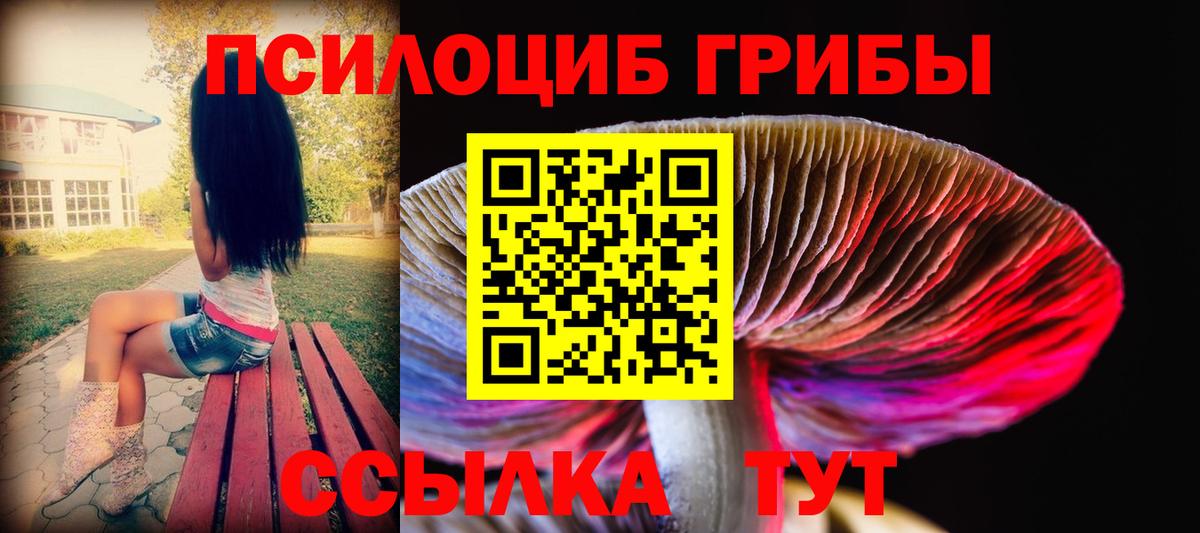 Мыски  закладка  Вход с VPN  Галлюциногенные грибы мицелий 